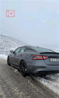 نيسان ماكسيما